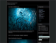Tablet Screenshot of blackcormorant.net